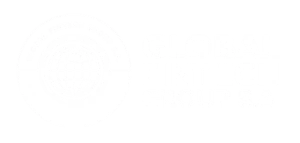 🌐 Global Fintech
